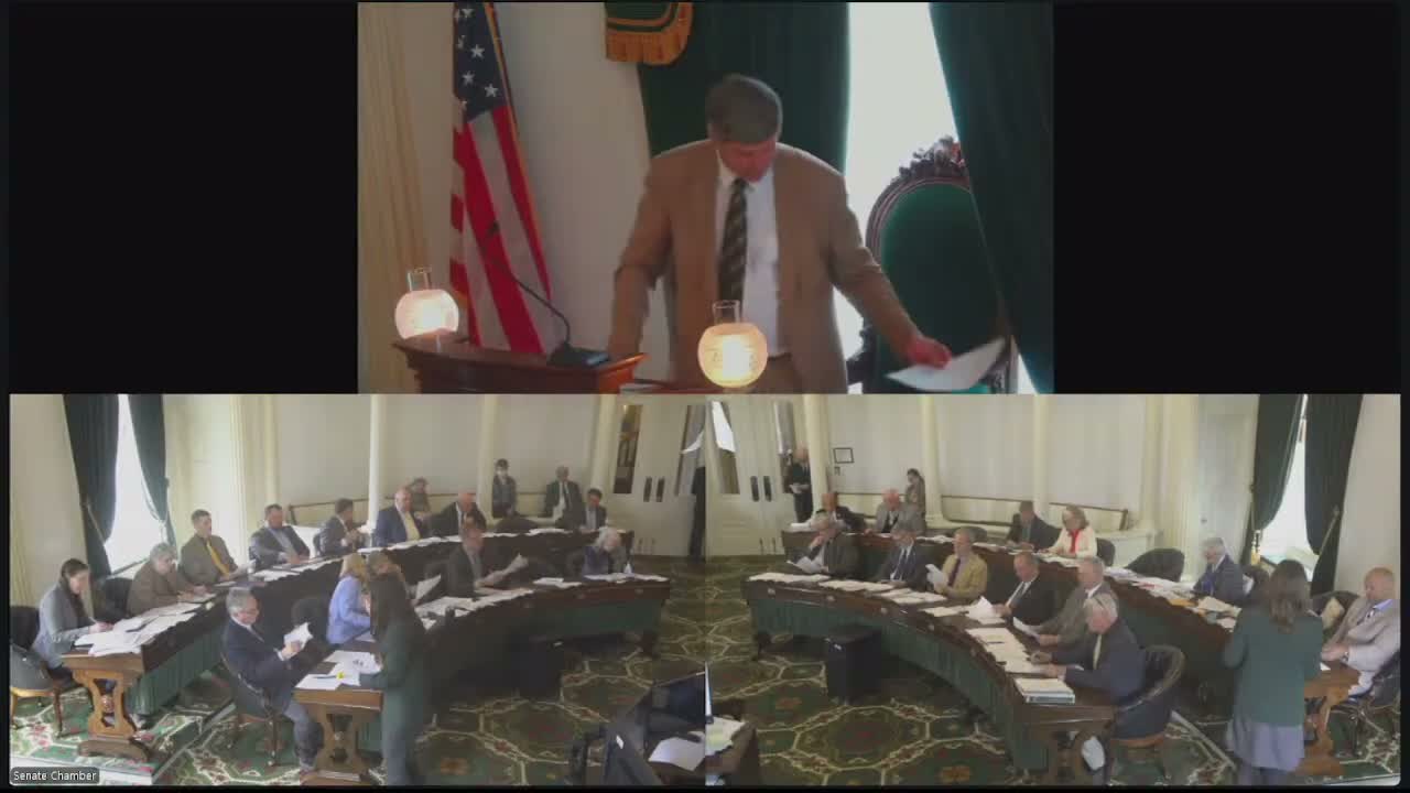 Senate hears lengthy H.6 57 floor report tightening child-welfare restraint, transport and access rules