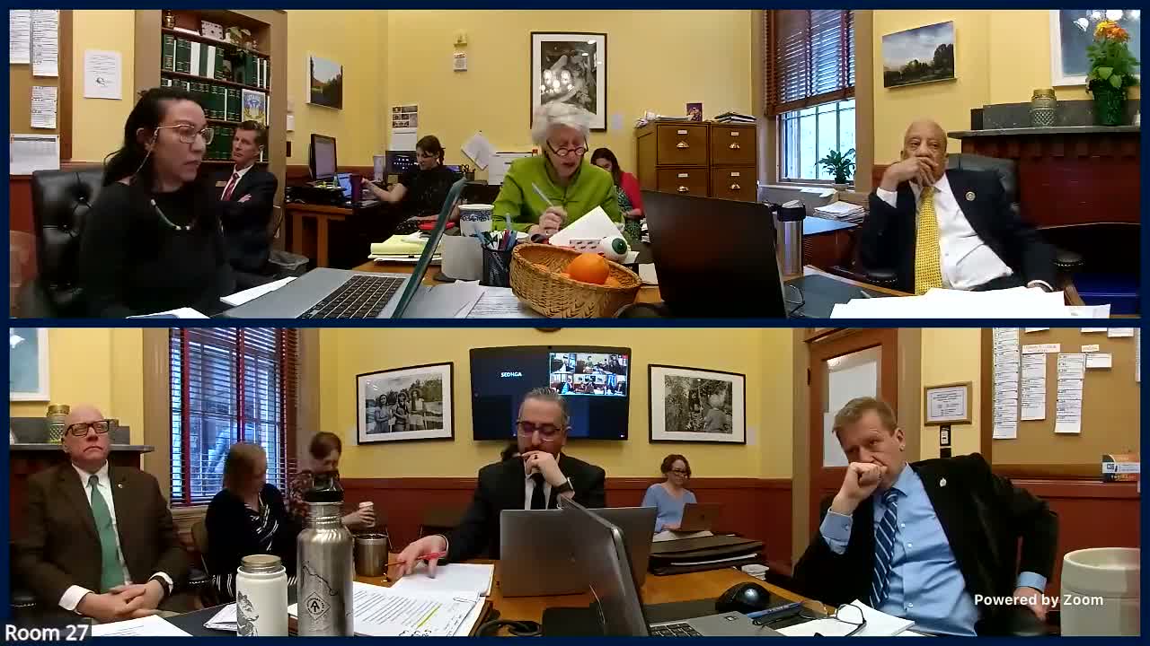Committee debates whether to keep H.2 11 focused on data brokers or fold in broader privacy bill S.71