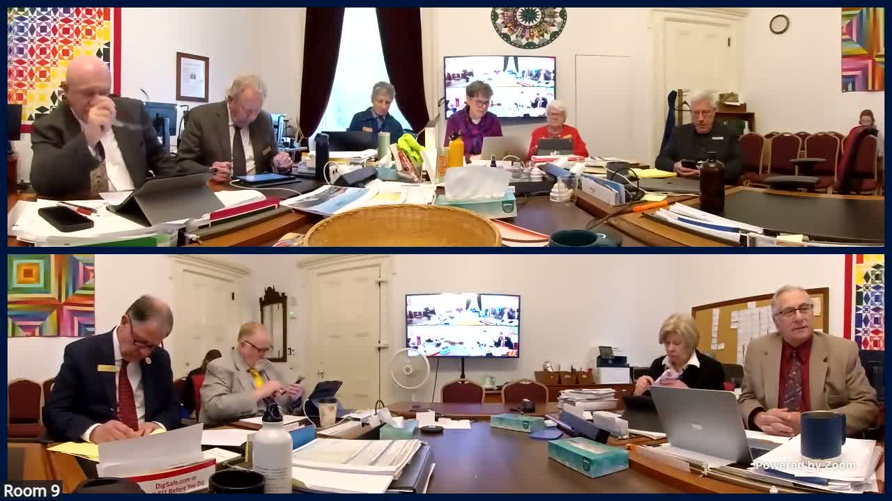 House Appropriations backs substitute to allow Office of Racial Equity to contract with Vermont Language Justice Project