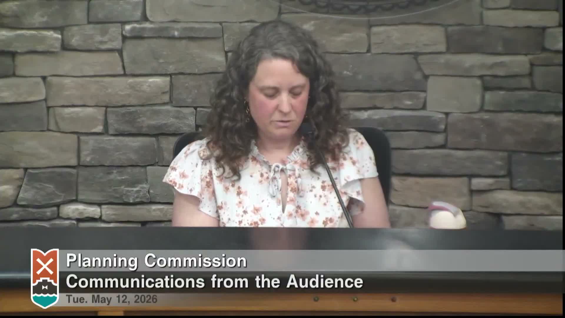 Holland City planning commission recommends rezoning to expand wetland mitigation bank