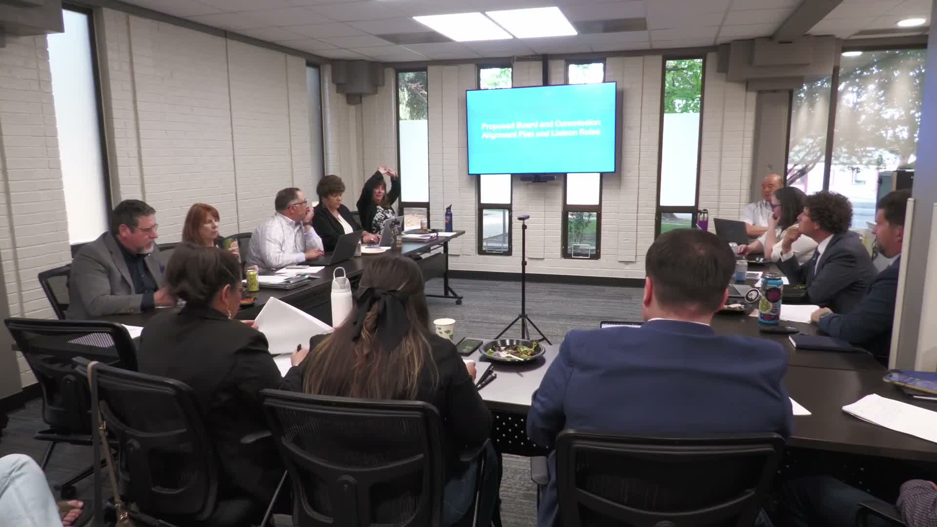 Council weighs consolidation and new advisory structures for boards and commissions