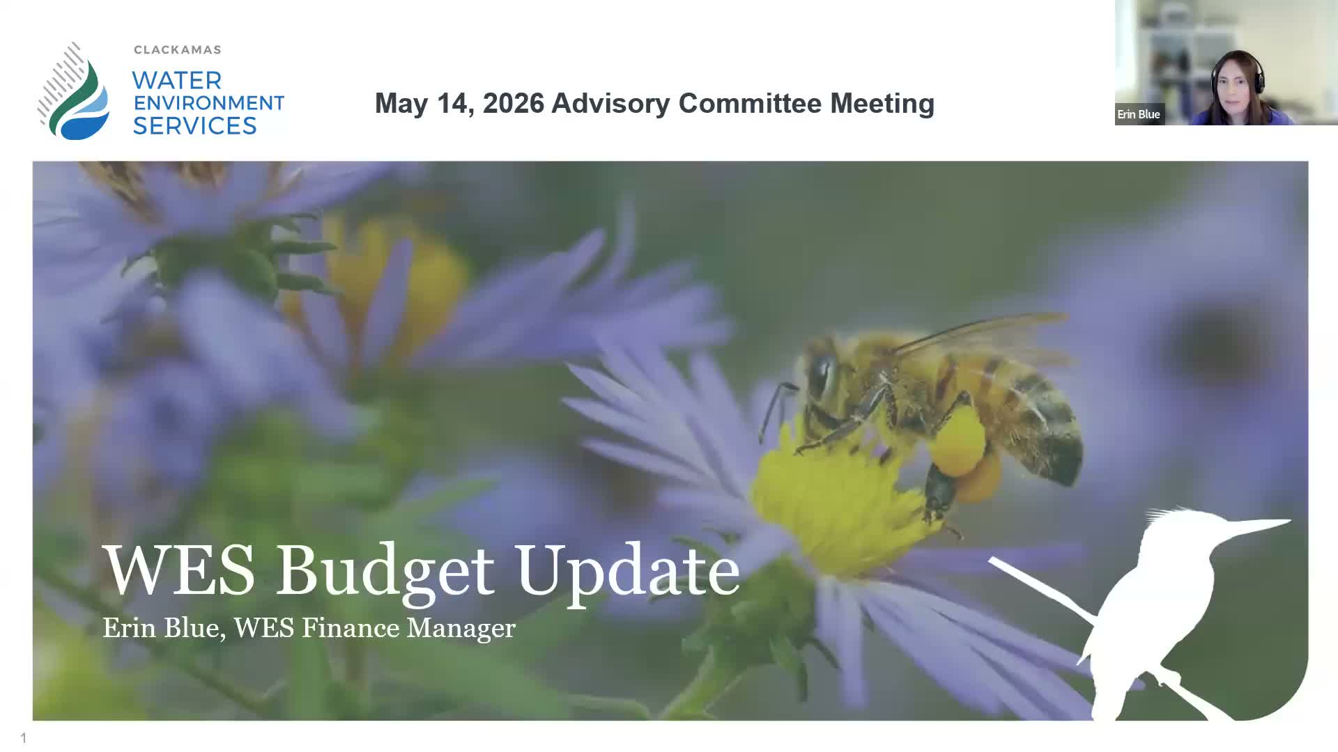WES staff outlines 5% rate target, long-range forecast and reserve strategy at advisory meeting